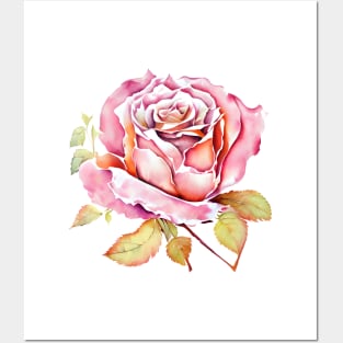 Elegant Pink Aquarelle Watercolor Isolated Rose Flower Painting Posters and Art